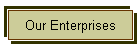 Our Enterprises